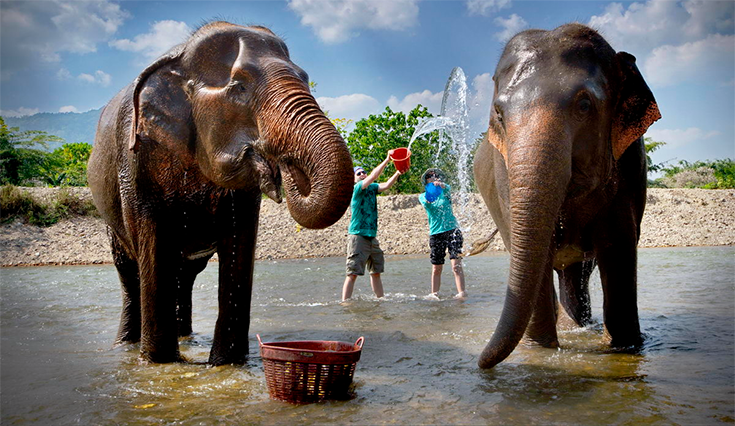 Parque de los Elefantes en Chiang Mai, Tailandia